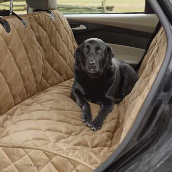 Orvis back seat cover Clearance